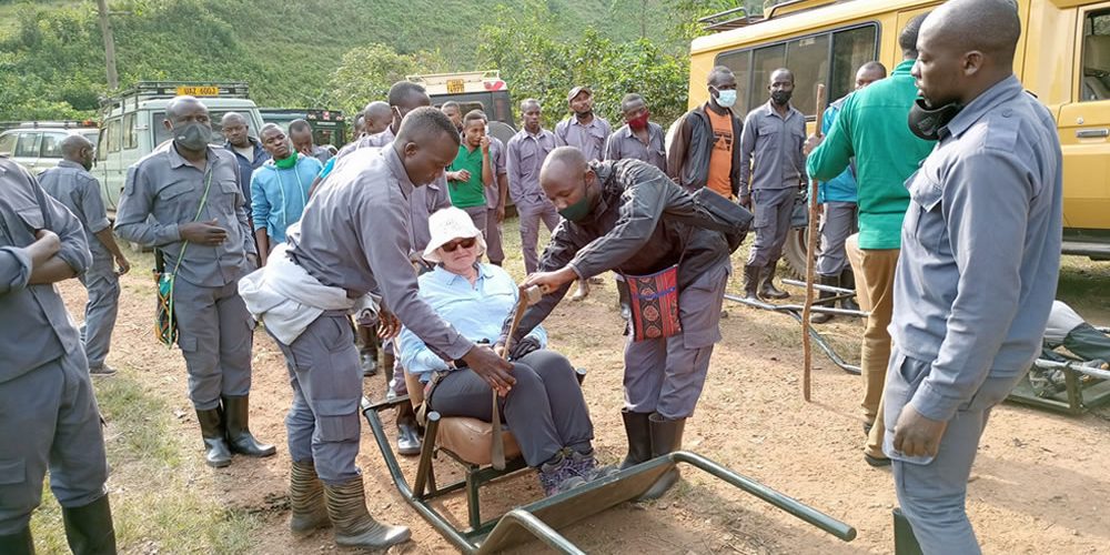 the-elderly-gorilla-trek The Elderly Gorilla Trek