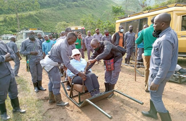 the-elderly-gorilla-trek The Elderly Gorilla Trek
